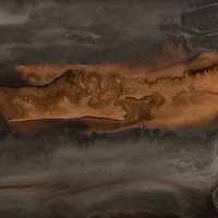 Organic Bronze