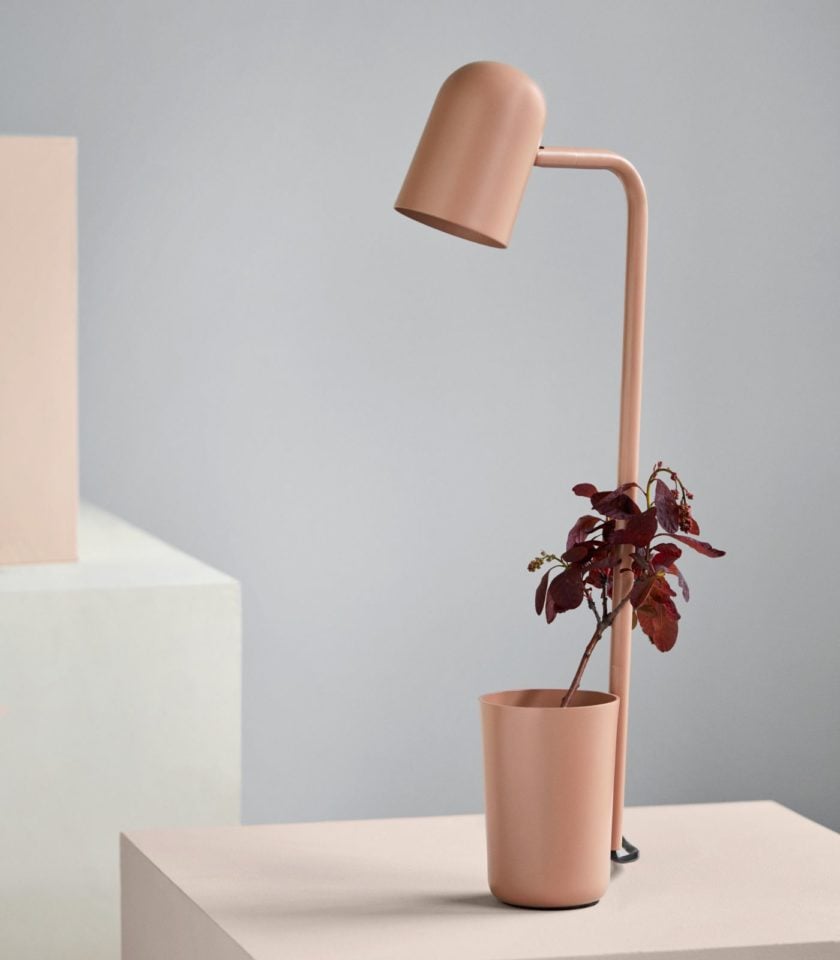 Buddy Table Lamp