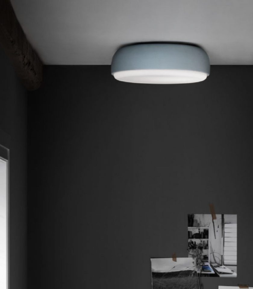 Over Me Wall/Ceiling Light