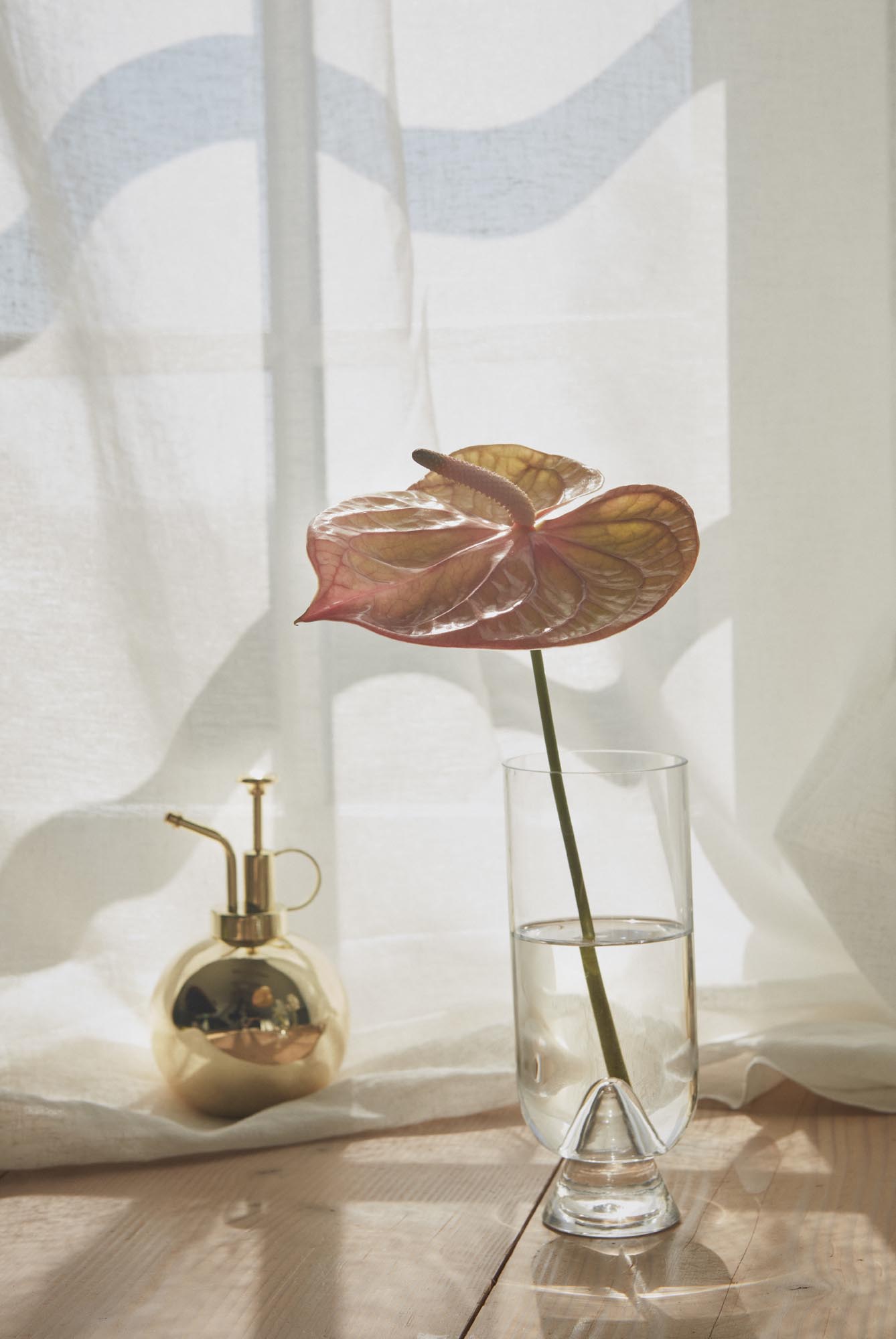 Globe Flower Mister