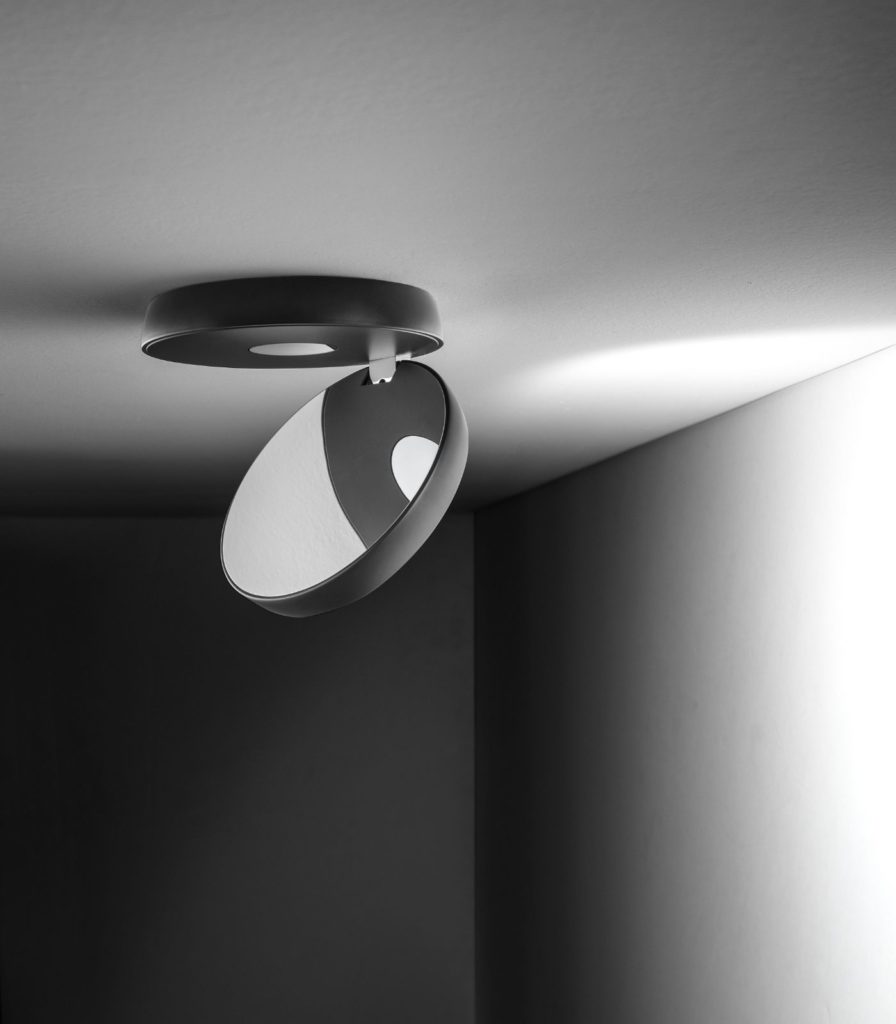 Nautilus Ceiling Light