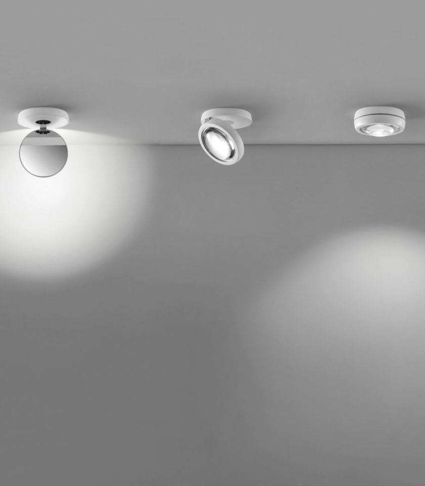 Nautilus Ceiling Light