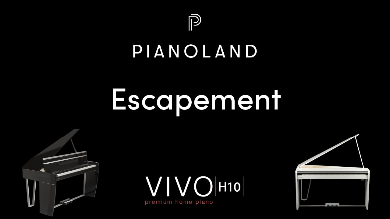 DEXIBELL H10 BLACK Digital Upright Pianoland