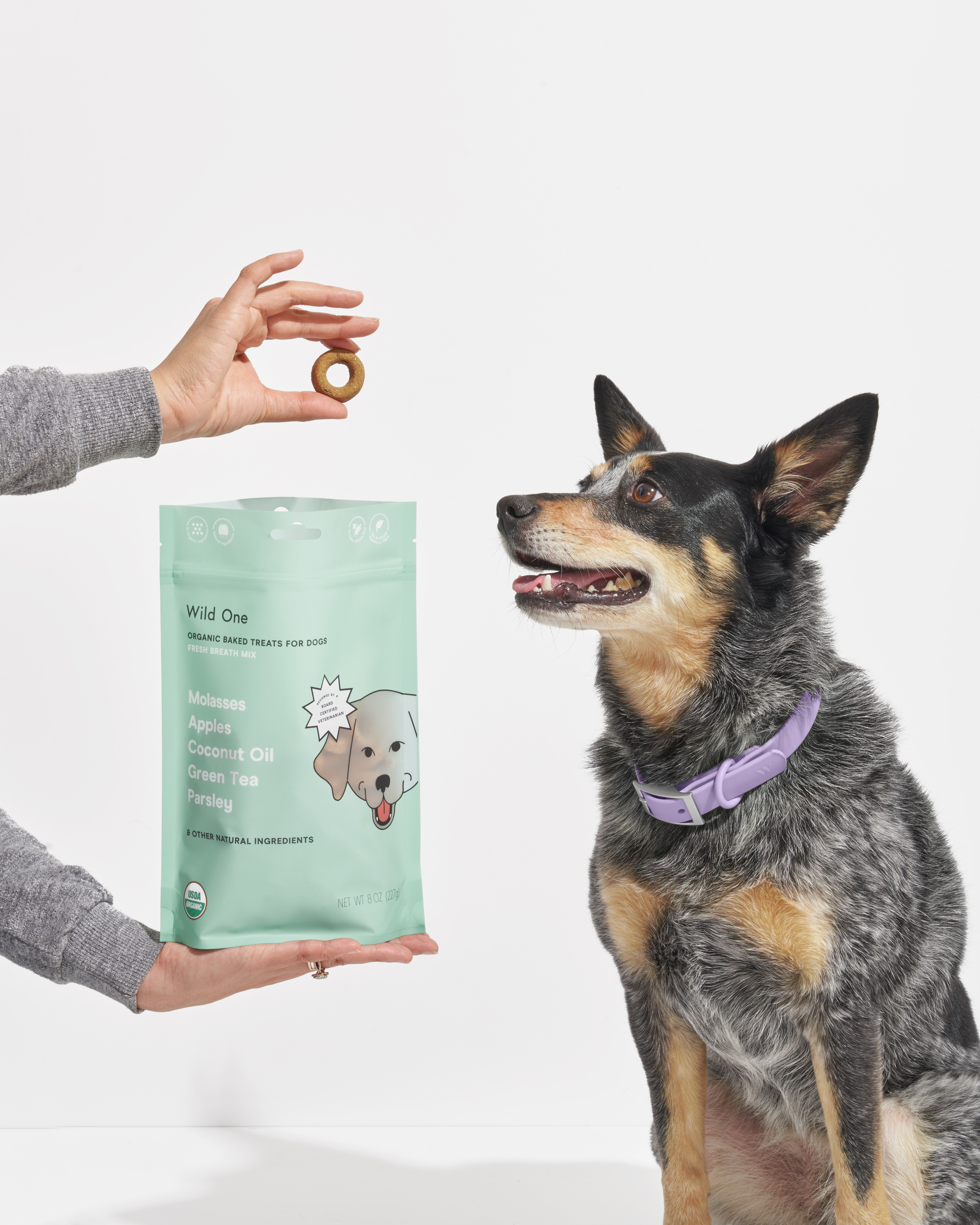 Certified USDA Organic Baked Dog Treats | Wild One