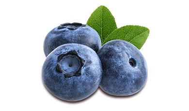 Organic Blueberry Extract