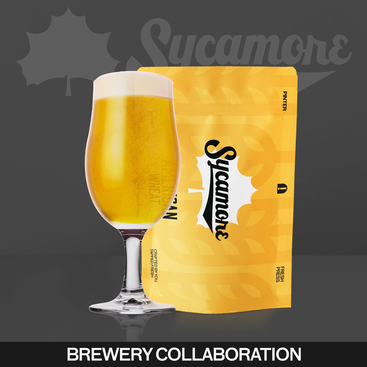 Sycamore Brewing