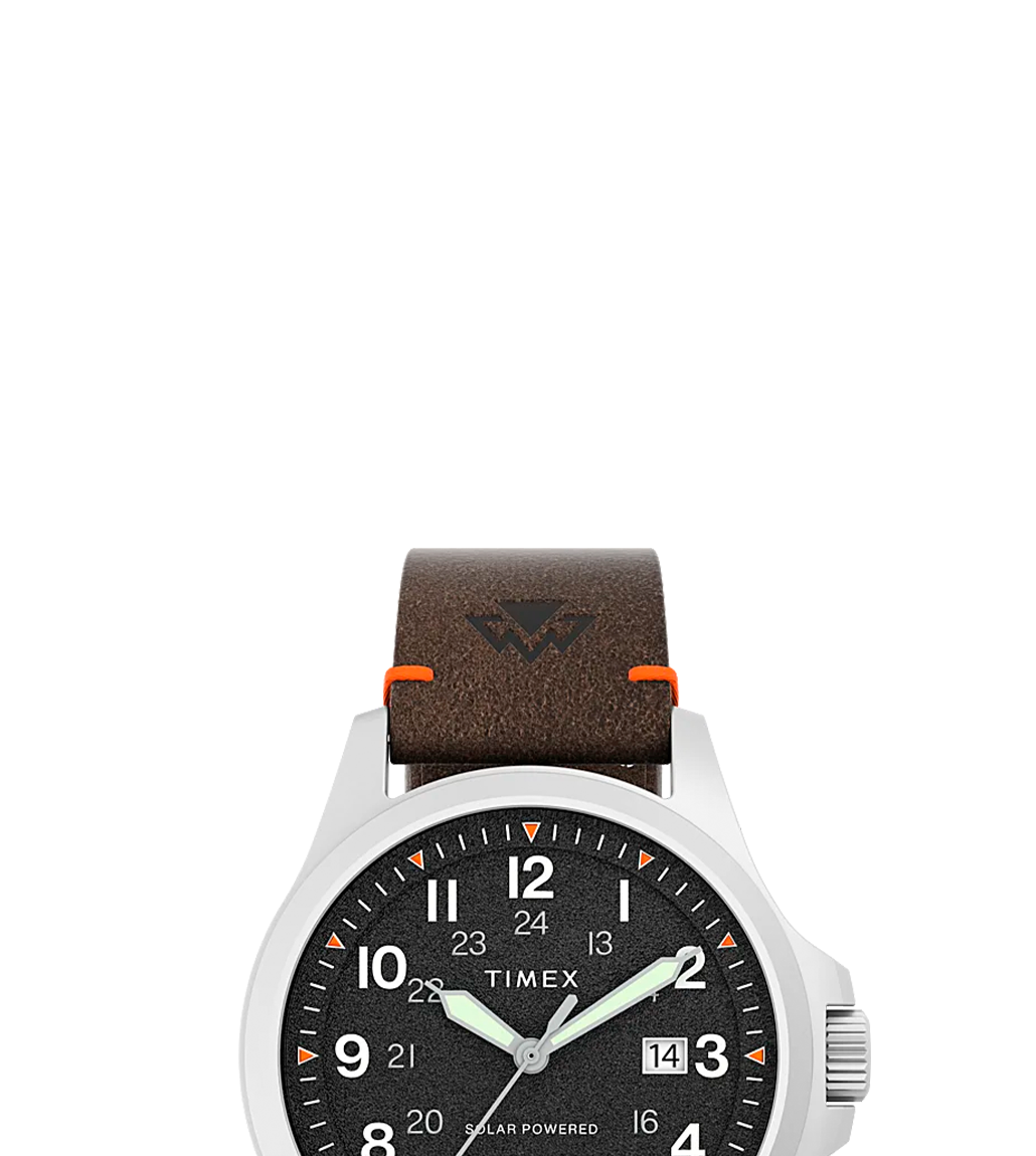 Field watch 2025 under 100