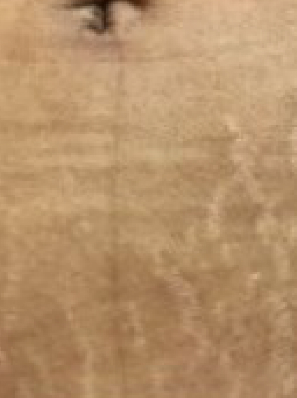 SERUM_Pro-Site_PDP-06