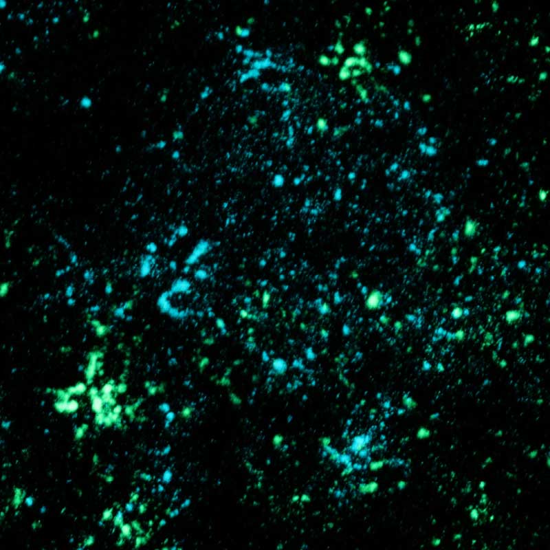 造形作品_お皿の中の宇宙_詳細