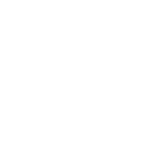 Vehicle Logo