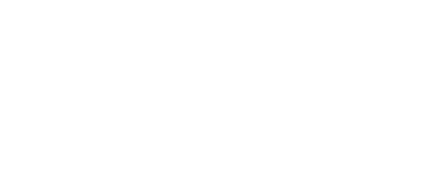 Vehicle Logo