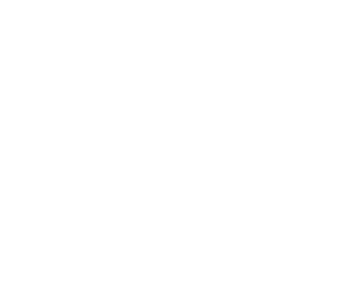Vehicle Logo