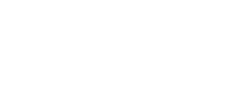Vehicle Logo