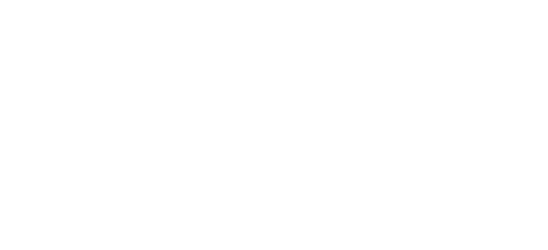 Vehicle Logo