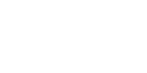 Vehicle Logo
