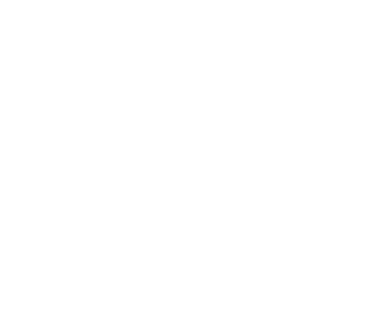 Vehicle Logo