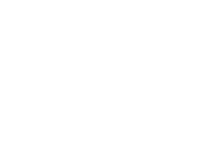 Vehicle Logo