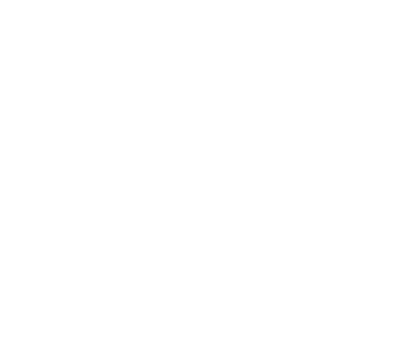 Vehicle Logo