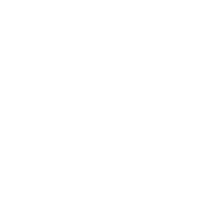 Vehicle Logo