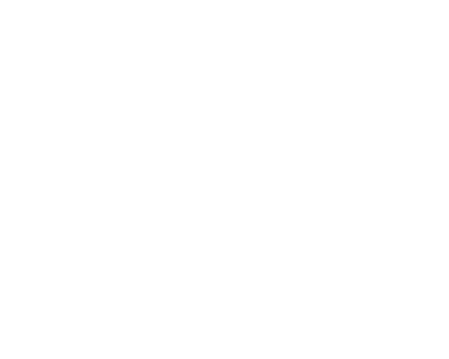 Vehicle Logo