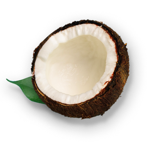 Nutiva - Shortening Red Palm & Coconut Oil, 15oz – PlantX US