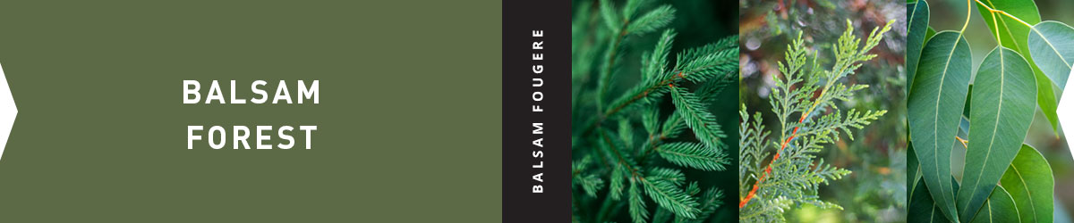 Collage for Balsam Forest 6.5oz Jar Candle