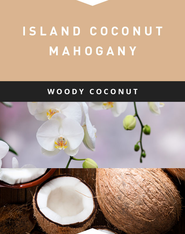 Collage for Island Coconut Mahogany 6.5oz Jar Candle