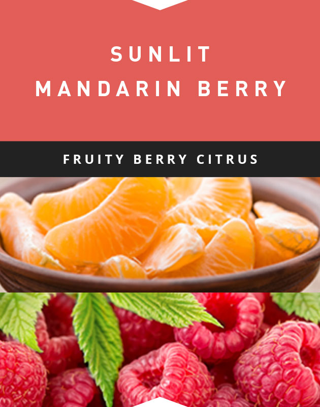Collage for Sunlit Mandarin Berry 6.5oz Jar Candle