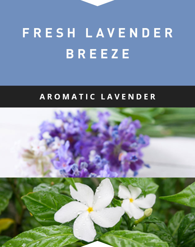 Collage for Fresh Lavender Breeze 6.5oz Jar Candle