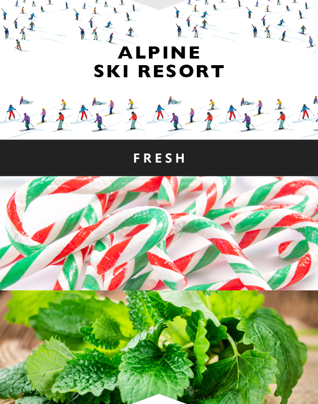 Collage for Alpine Ski Resort 3-wick 10oz Jar Candle