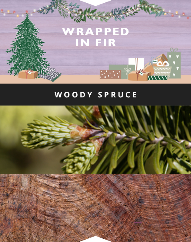 Collage for Wrapped in Fir 3-wick 10oz Jar Candle