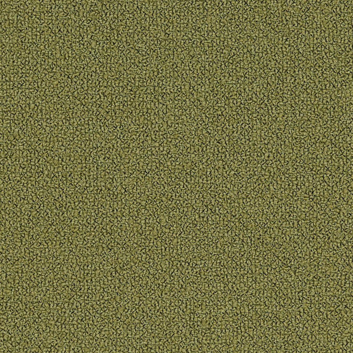 Mustard Moss-Grain 68243