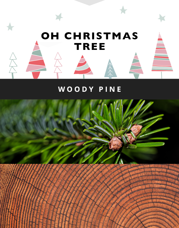 Balsam Pine - Fresh Pine Christmas Tree Scented Wax Melt - 1 Pack - 2