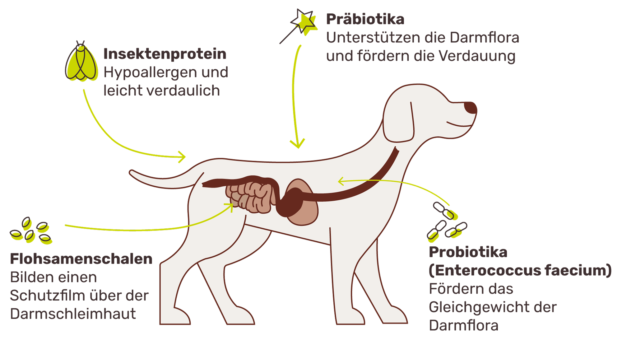 So funktioniert es