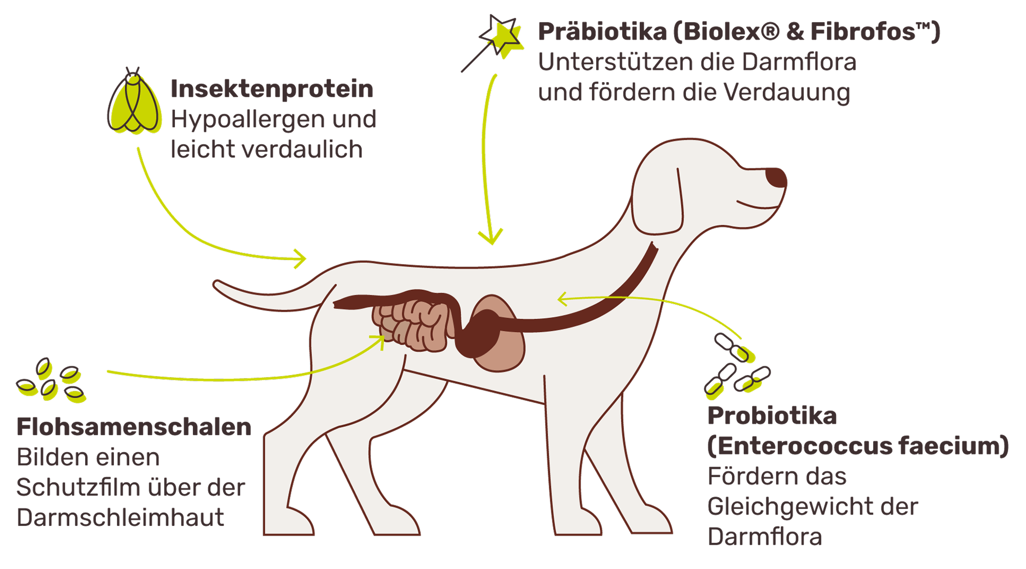 So funktioniert es
