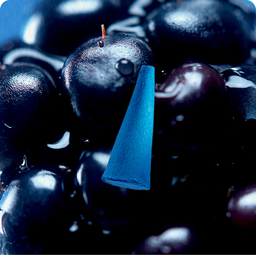 Wild Berry