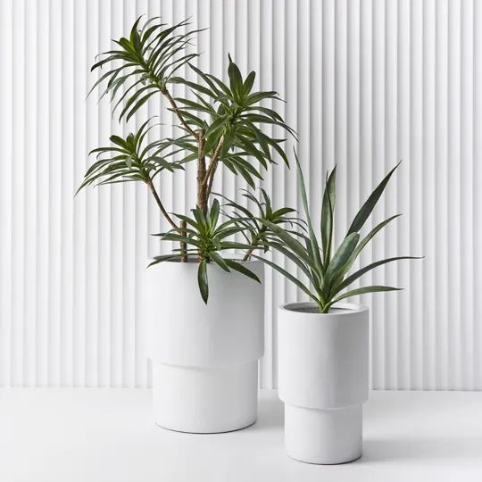 Optic Pot - Set of 2