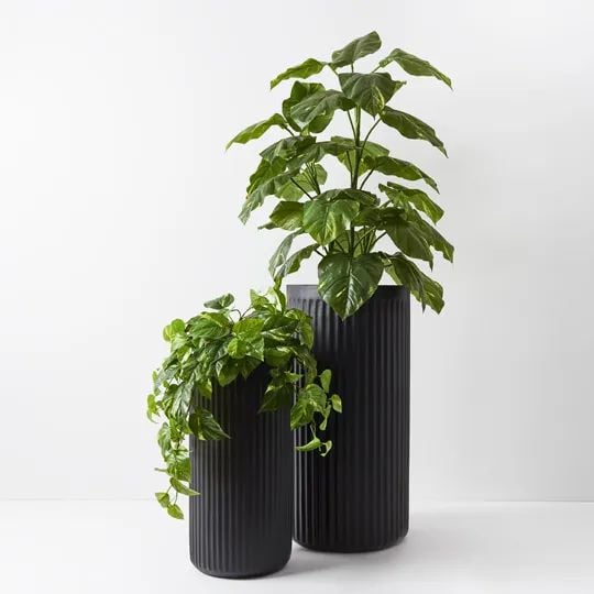 Pleat Cylinder Tall Pot - Set of 2