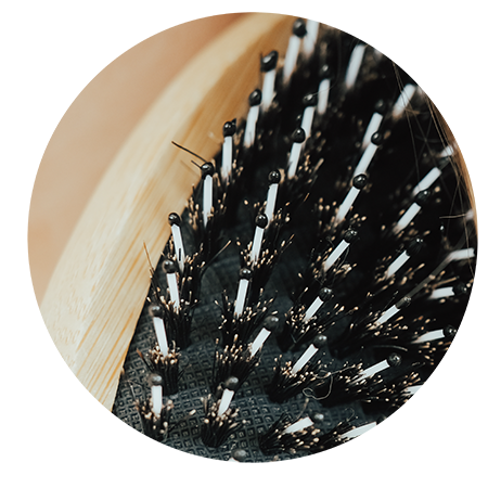 Boar Hair Bristles