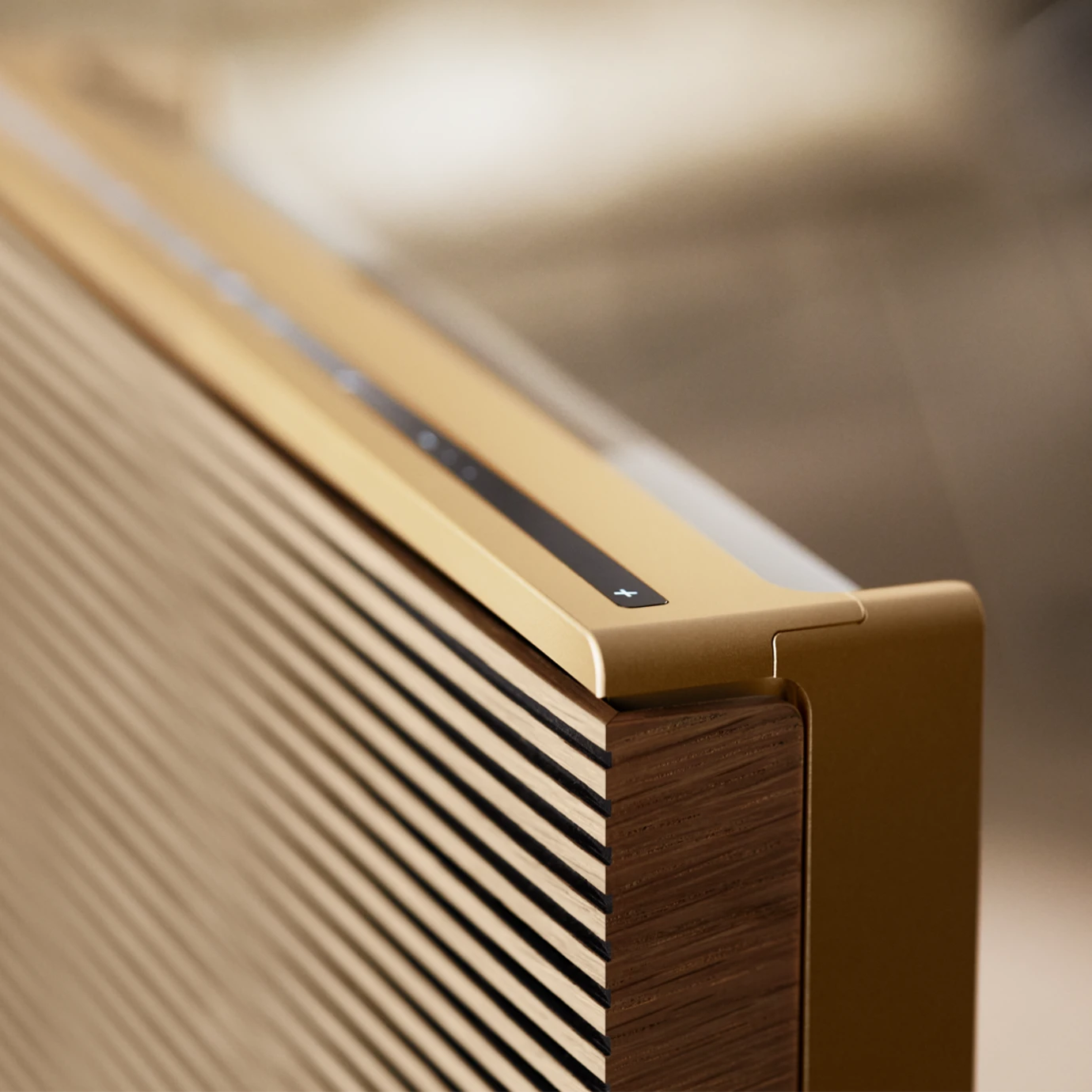 B&O Beosound Level 藍牙喇叭 B&O Beosound Level bluetooth speaker