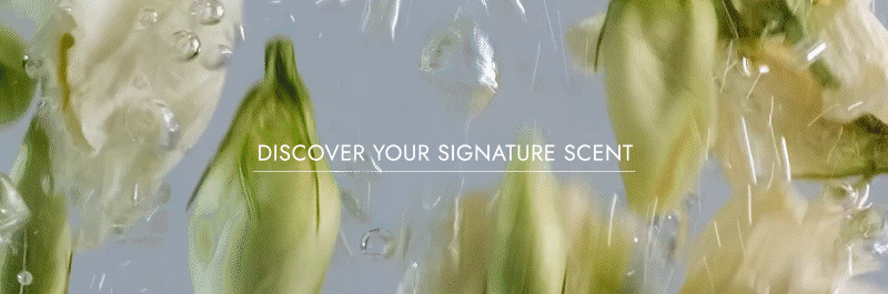 Exfoliating Body Wash Fig & Amber - Sugar Scrub with Plant-Derived AHAs