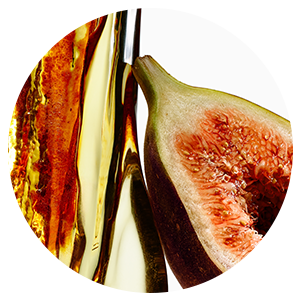 Exfoliating Body Wash Fig & Amber - Sugar Scrub with Plant-Derived AHAs