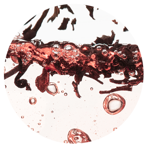 Exfoliating Body Wash Neroli & Patchouli - Sugar Scrub with Plant-Derived AHAs
