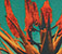 Silk Cotton Mini Short - Cactus Print