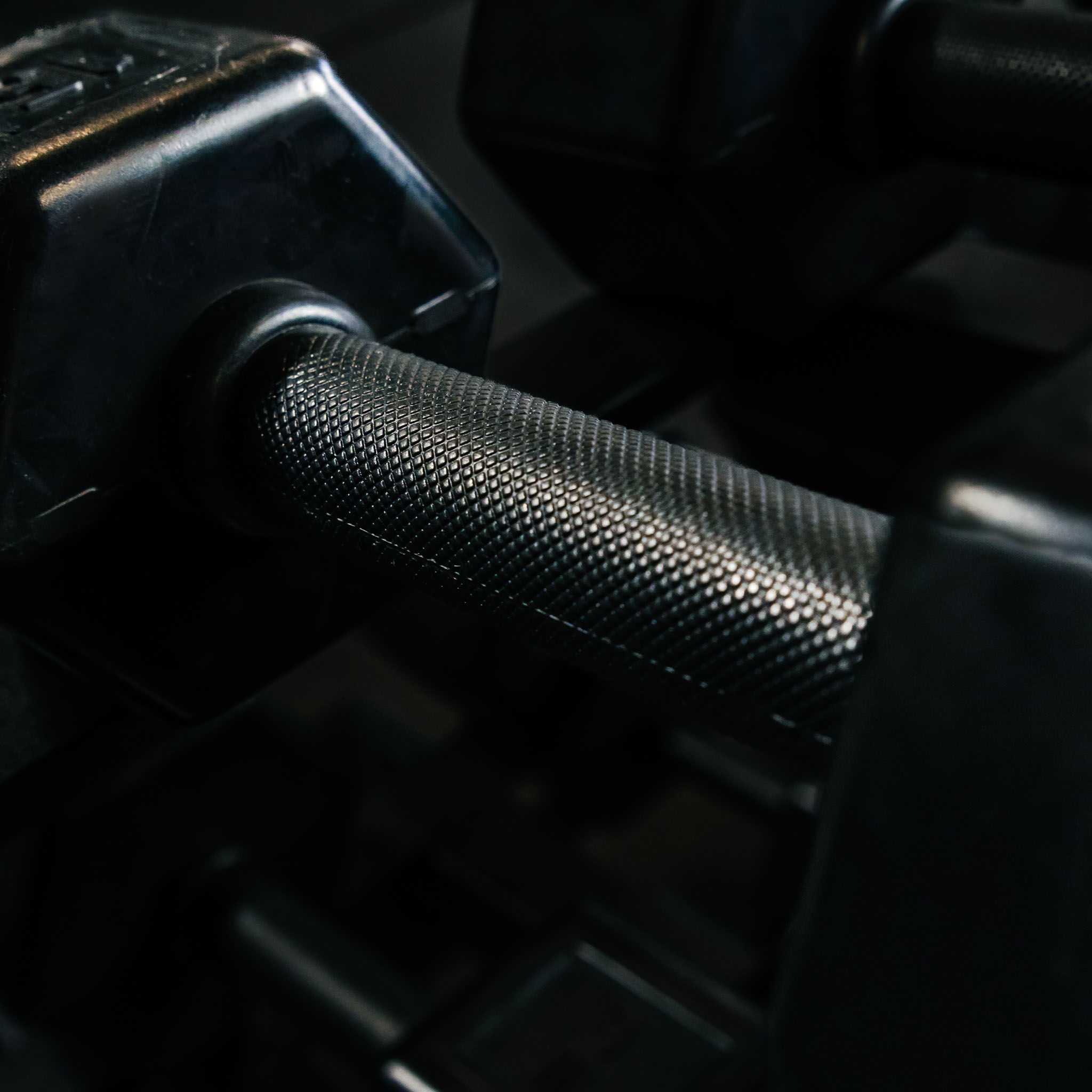 Silverback Dumbbells Complete Set (5lb-50lb)