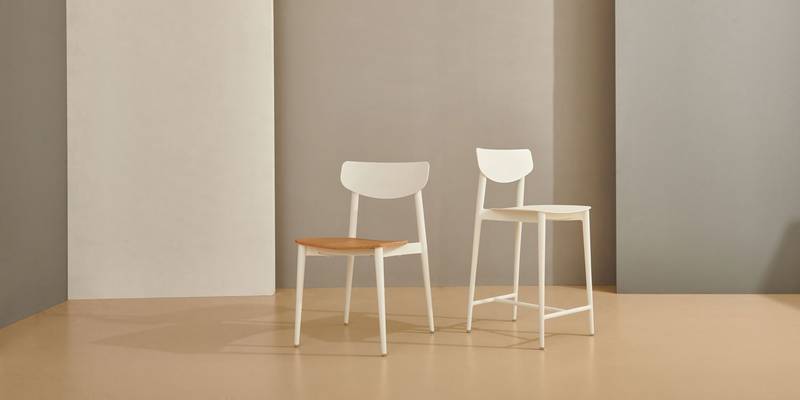 Ally Indoor Dining Chair