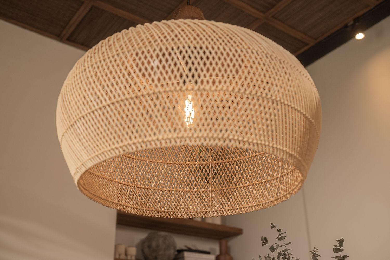 dBodhi Harp Pendant Lamp