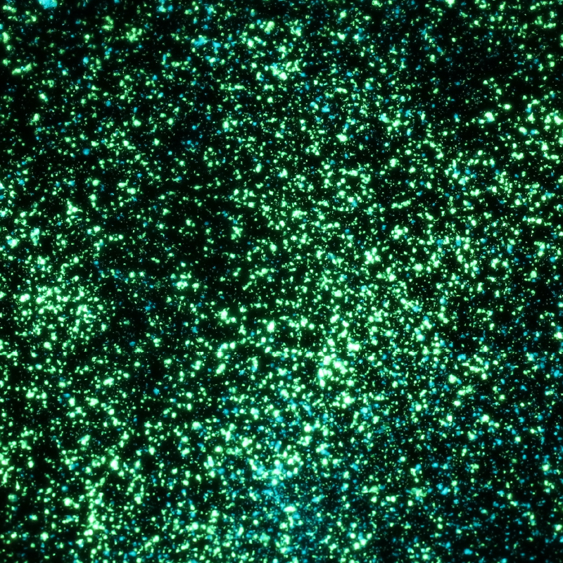 造形作品_お皿の中の宇宙_詳細
