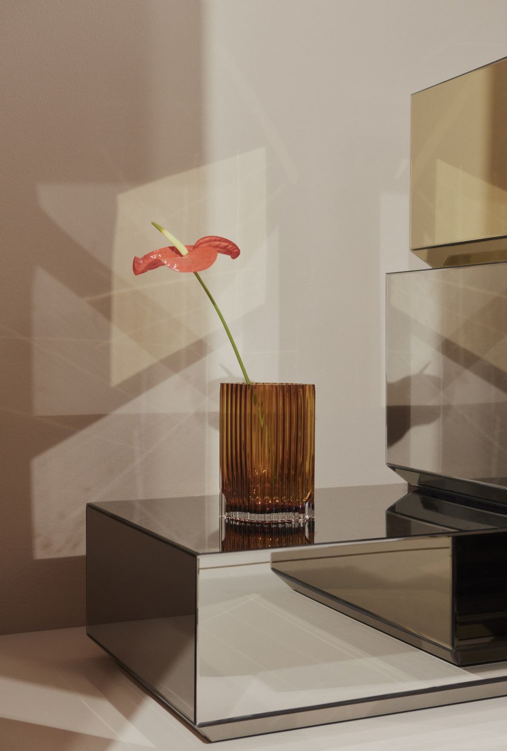 Speculum Rectangular Coffee Table