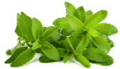 Stevia Leaf Extract